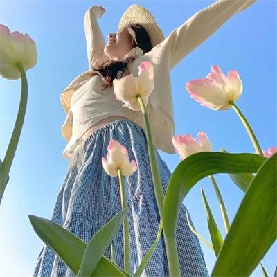 机飞总动员2